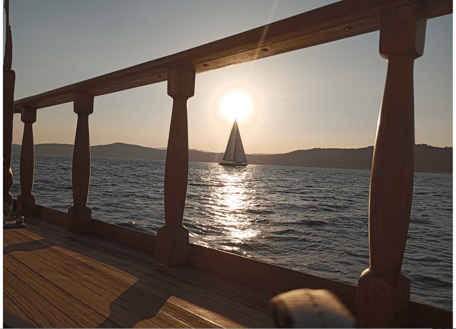 A bord du navire Arcadia